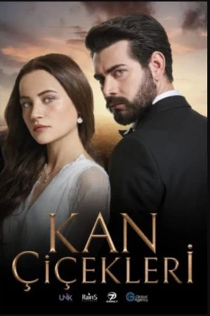 TMDB Poster